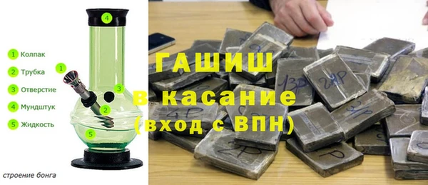гашик Алексин