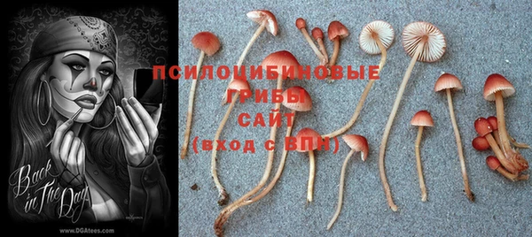 кристаллы Алексеевка