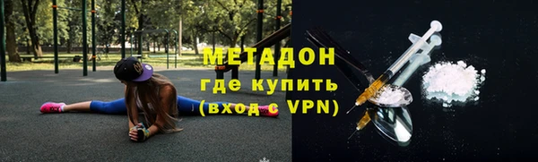 гашик Алексин