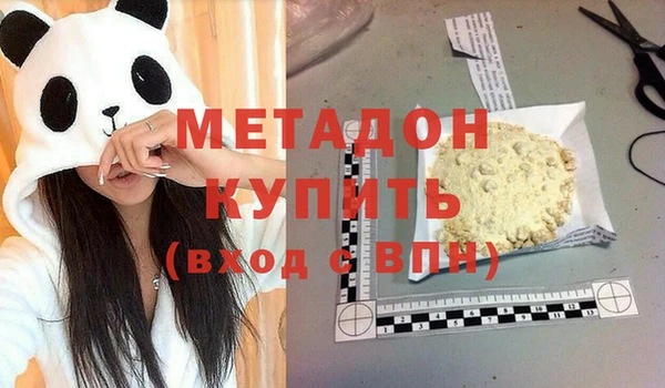 гашик Алексин