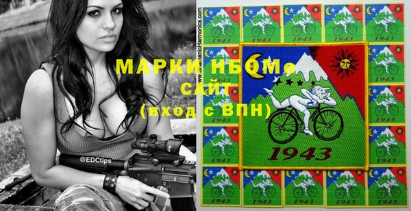 гашик Алексин