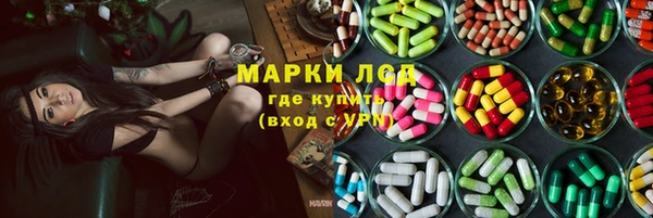 гашик Алексин