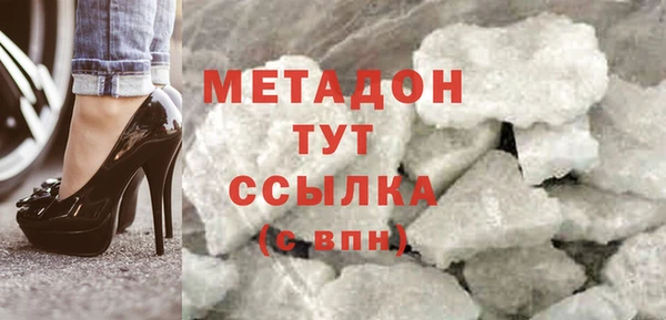 гашик Алексин