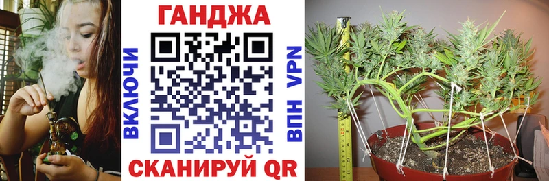 ОМГ ОМГ   Сураж  Шишки марихуана марихуана 